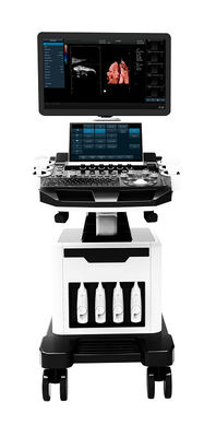 OB GYN için 3D 4D 5D Renkli Doppler Ultrason Arabası Ultrason Tarayıcı
